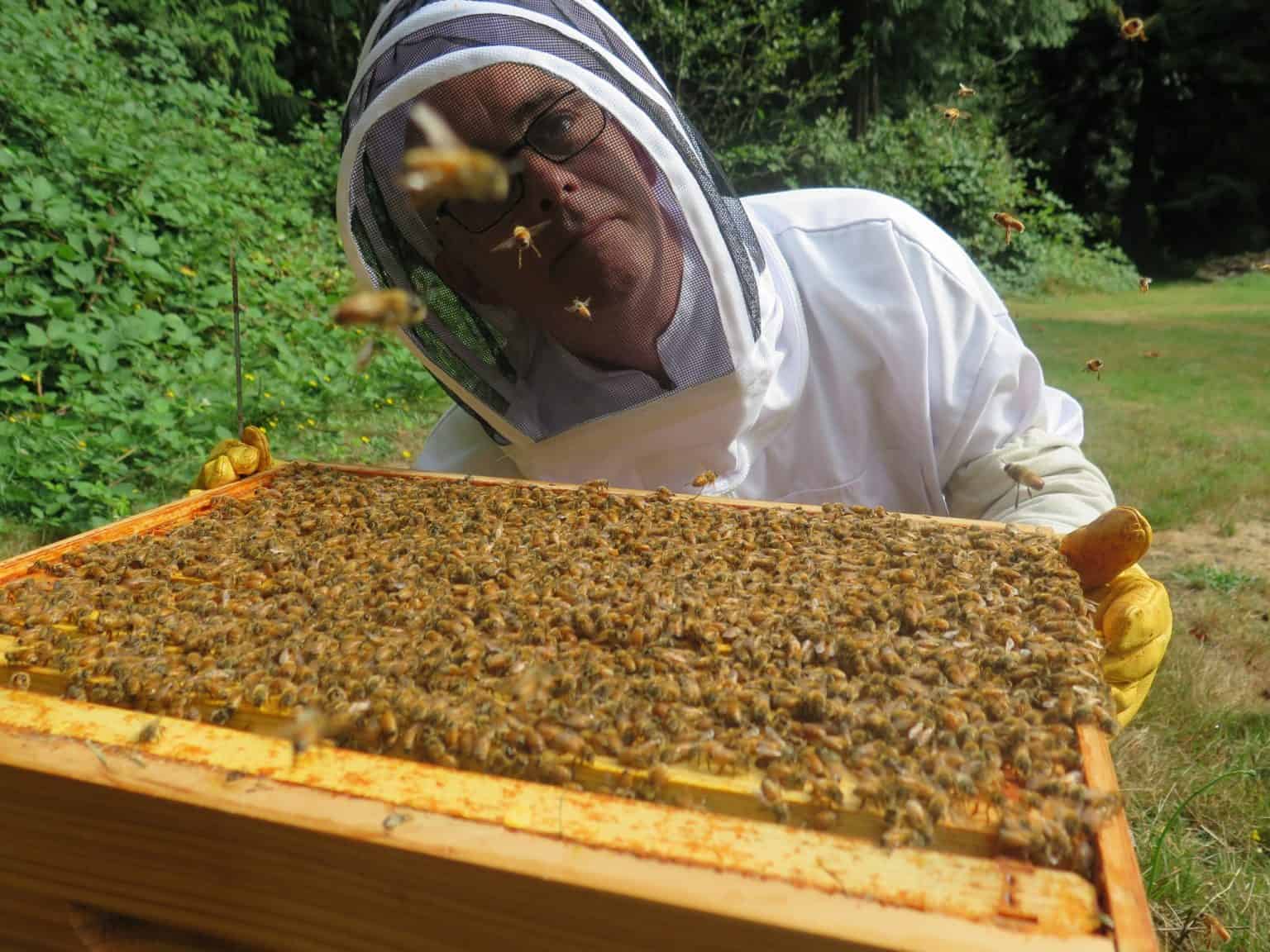 Is Beekeeping Right For You PerfectBee