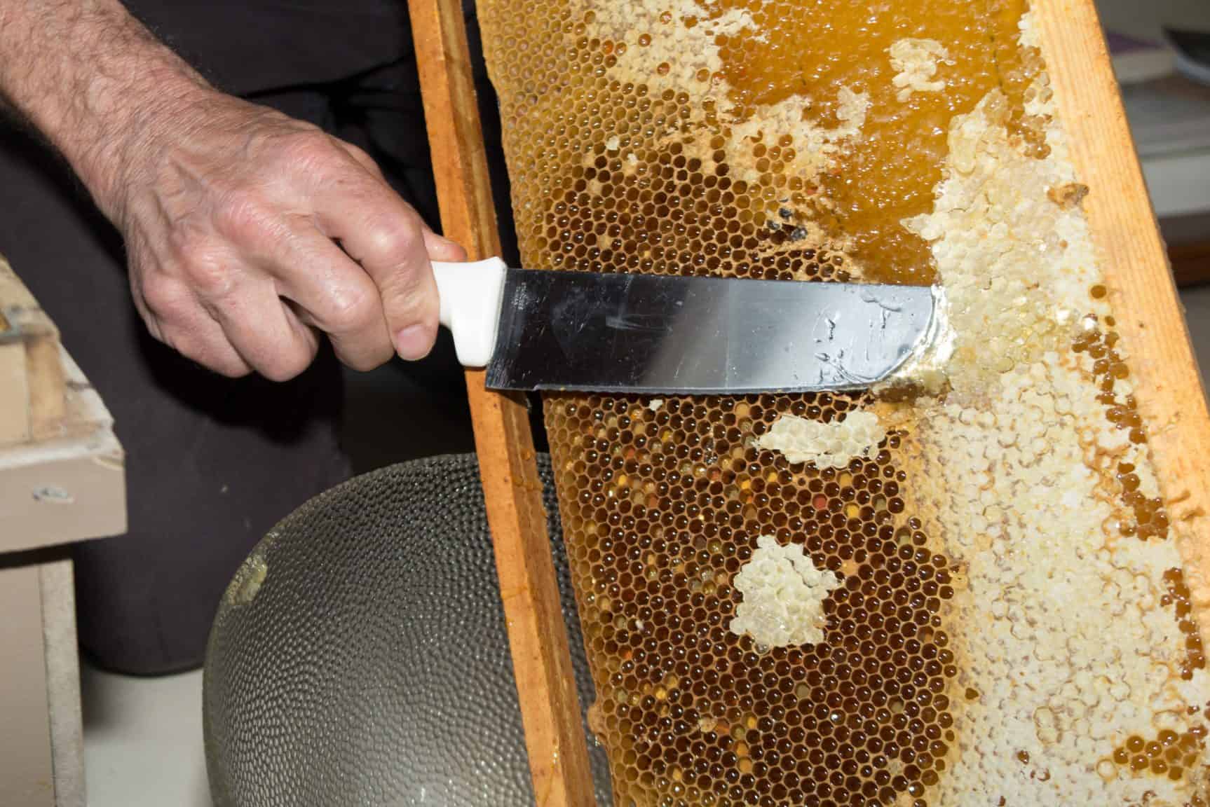 An Introduction To Harvesting Honey: Part 2 - PerfectBee