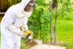 A beekeeper’s journey: Part 3 – Package bees or swarm?