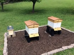 Get Your Hives Off the Ground