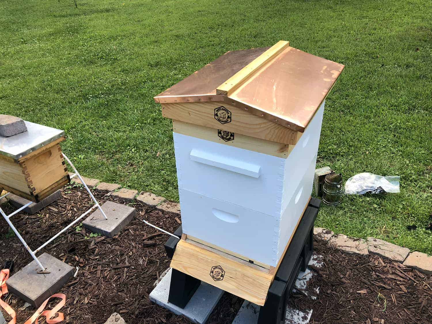 Installing A New Hive In Fall - PerfectBee