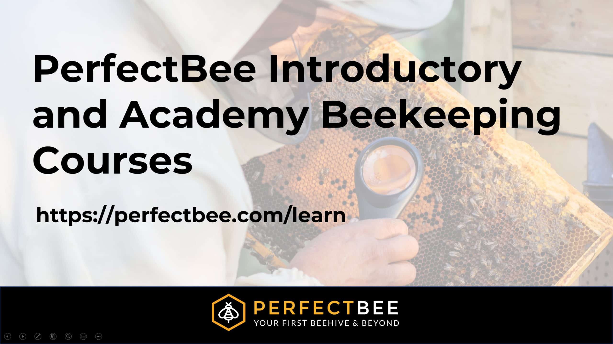 Beekeeping Articles - PerfectBee