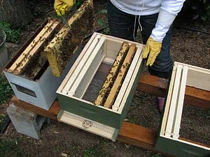 What should I do to prepare for installing my bees?