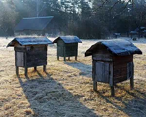 What temperature is too cold for honeybees?